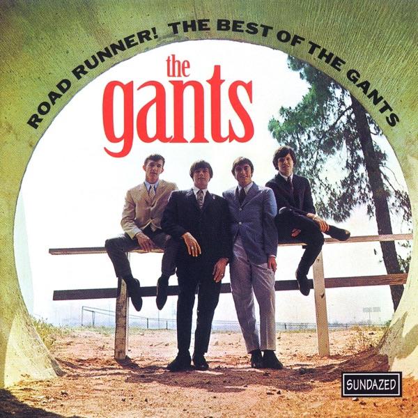 Vortex of Fuzz - Volume Three: I Don't Care - The Gants