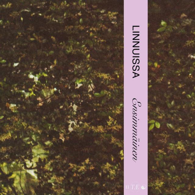 Ensimmäinen - Linnuissa