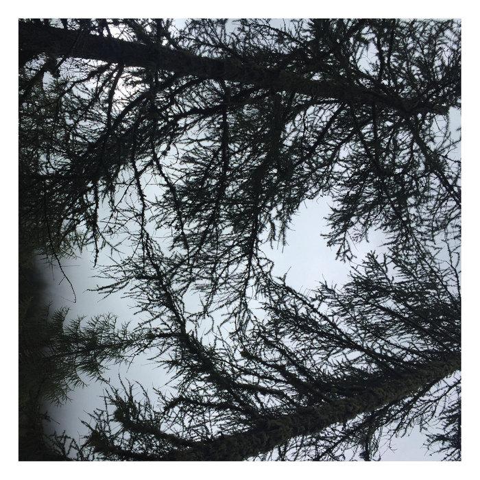 Dunstkreis - Voyage Futur