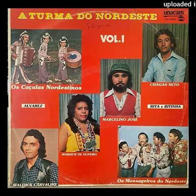  - Os Caçulas Nordestinos
