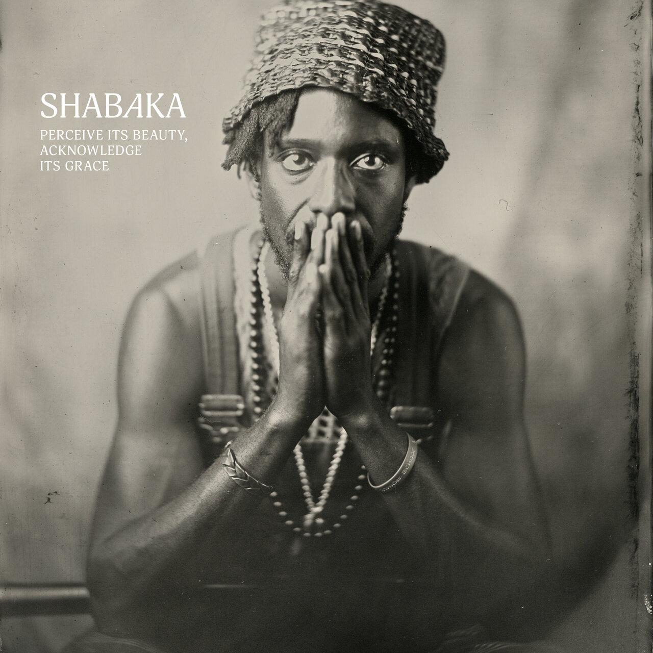 Perceive Its Beauty, Acknowledge Its Grace - Shabaka Hutchings