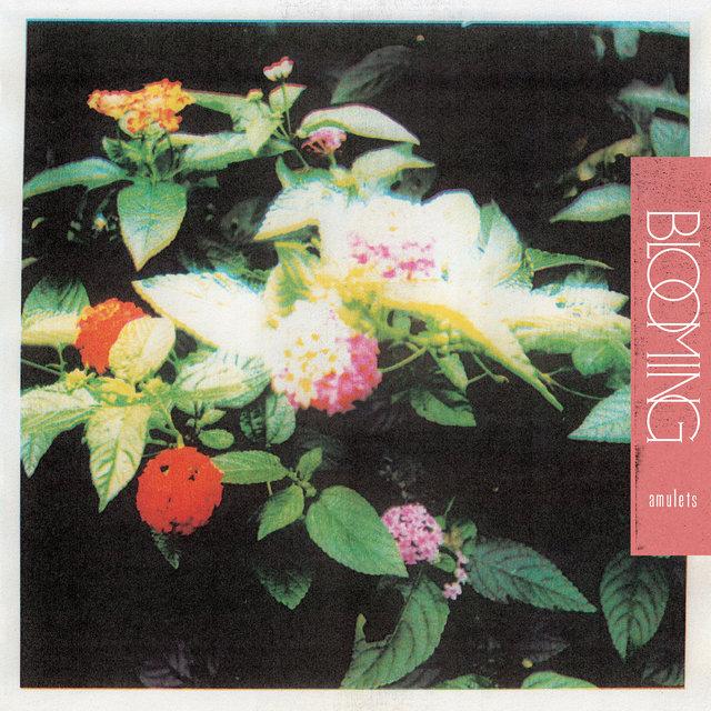 Blooming - AMULETS