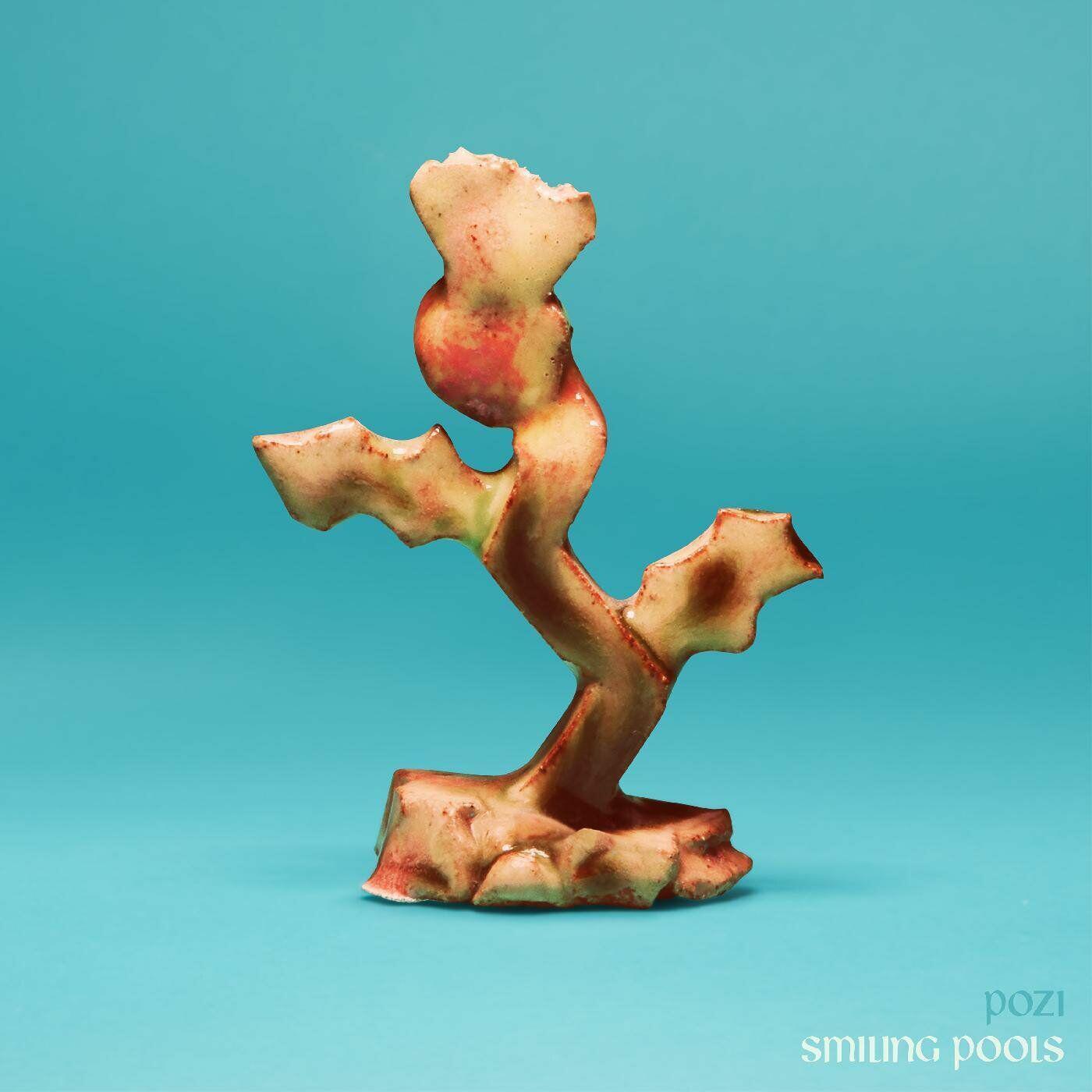 Smiling Pools - Pozi