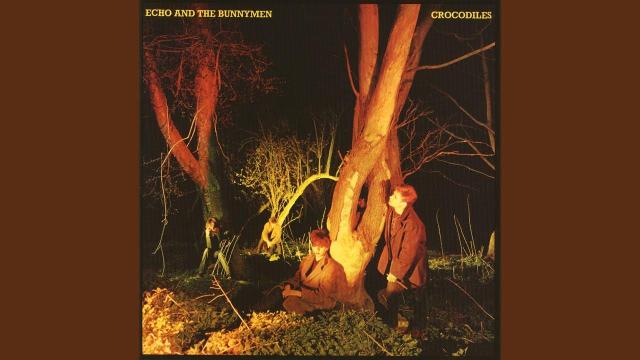 - Echo & the Bunnymen