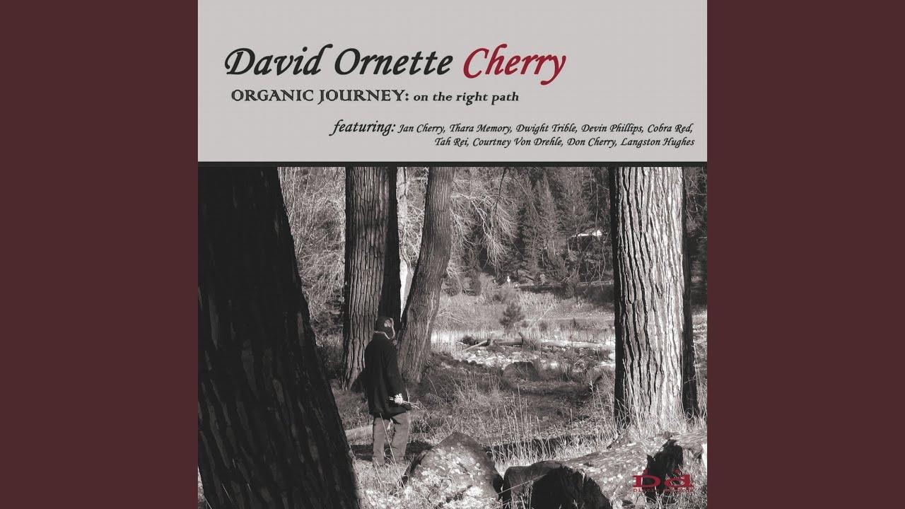 Organic Journey: On the Right Path - David Ornette Cherry, Don Cherry