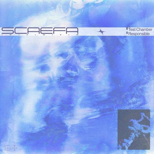 Test Chamber / Responsible - EP - Scaefa