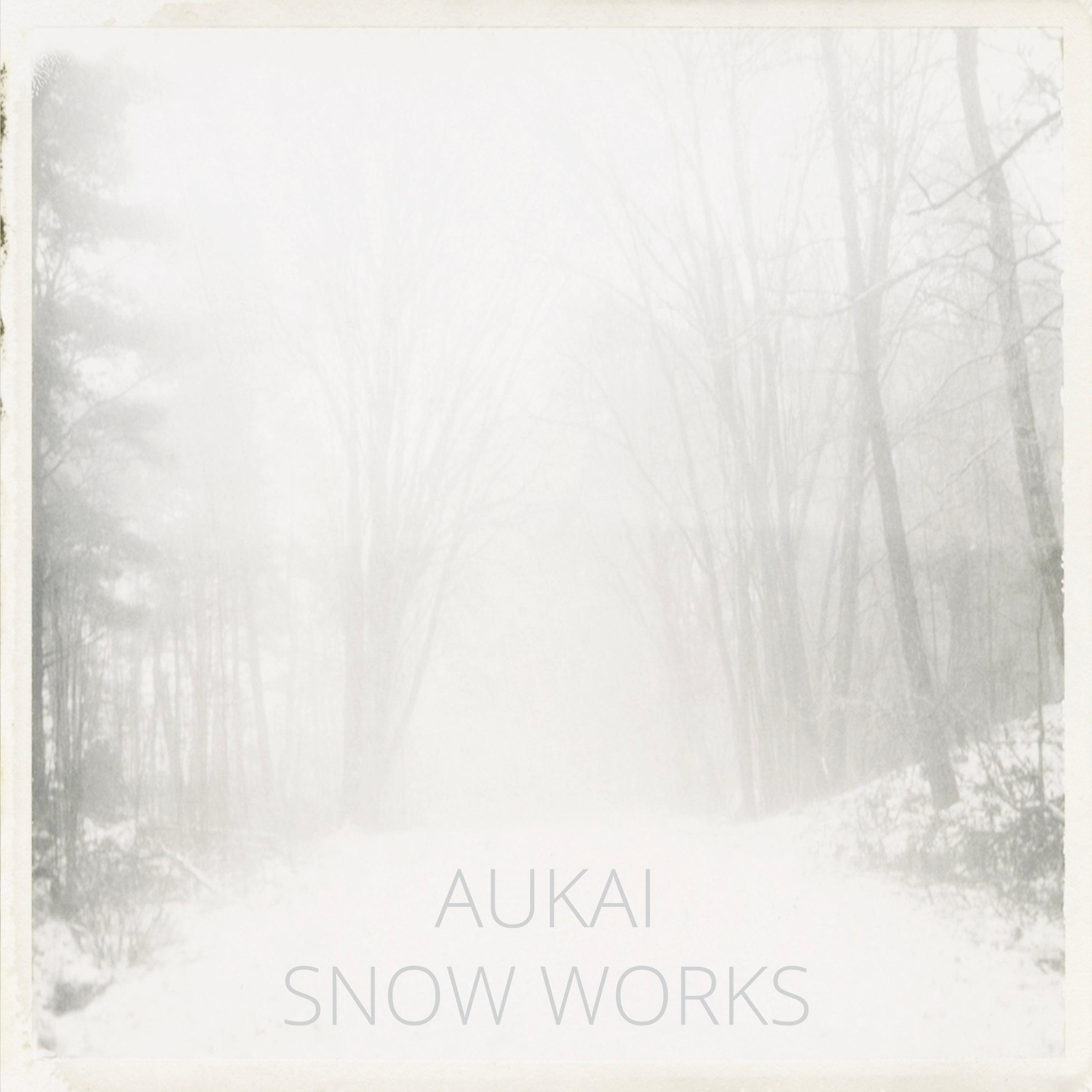 Snow Works - Aukai