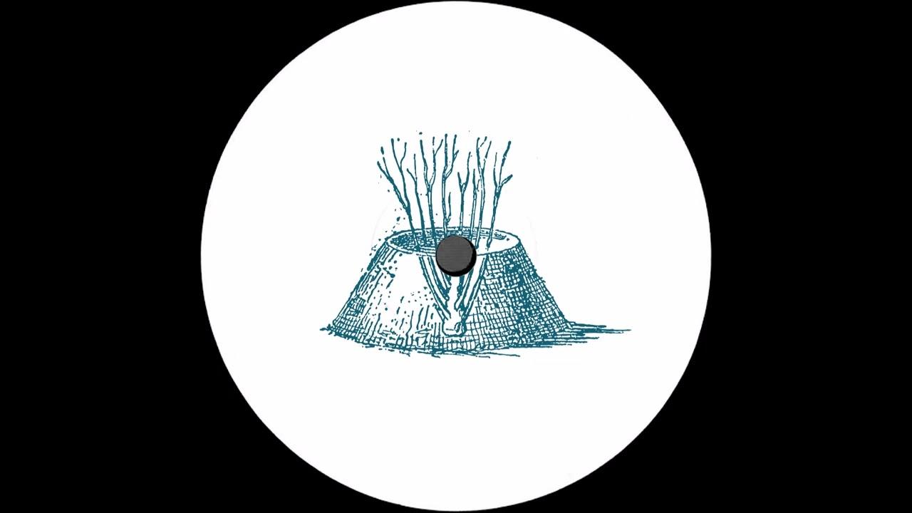 Echo Chamber - Shcuro