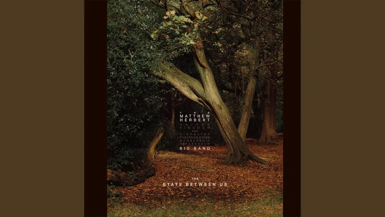 The State Between Us - The Matthew Herbert Big Band
