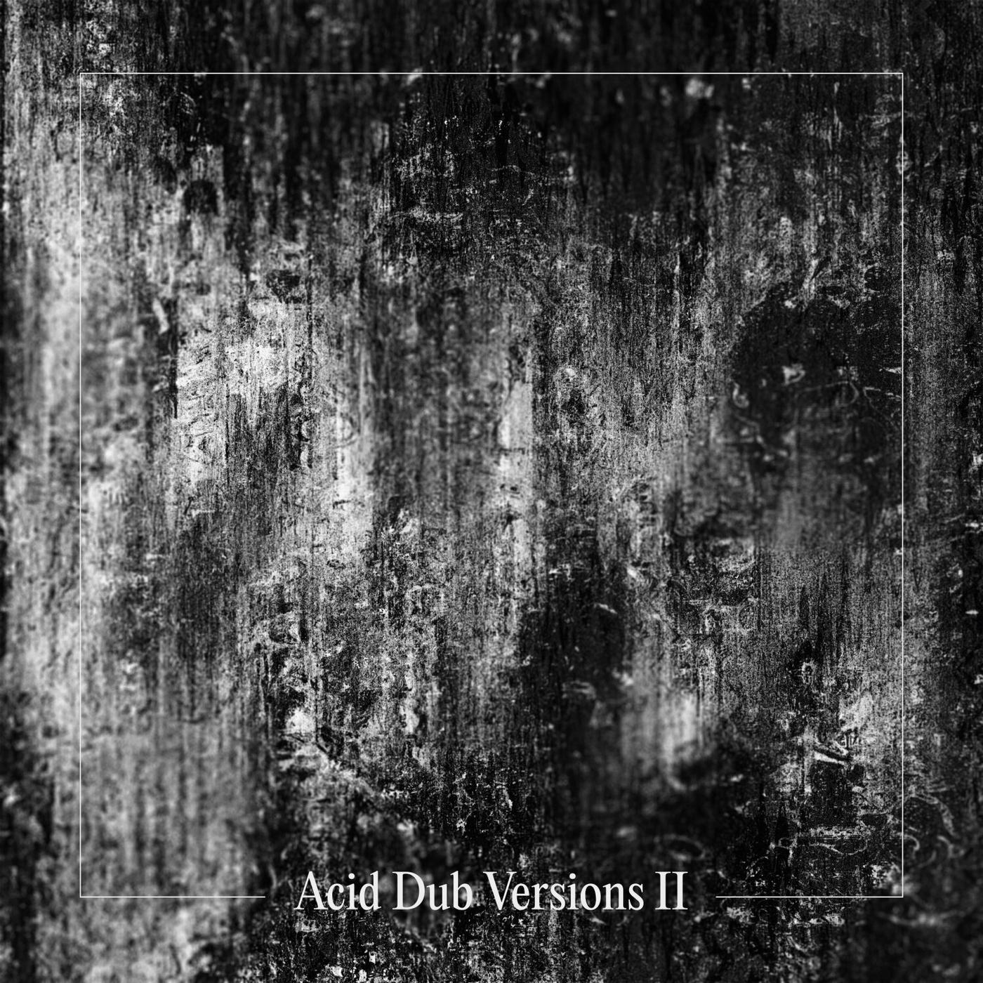Acid Dub Versions II - Om Unit, Dego Ranking