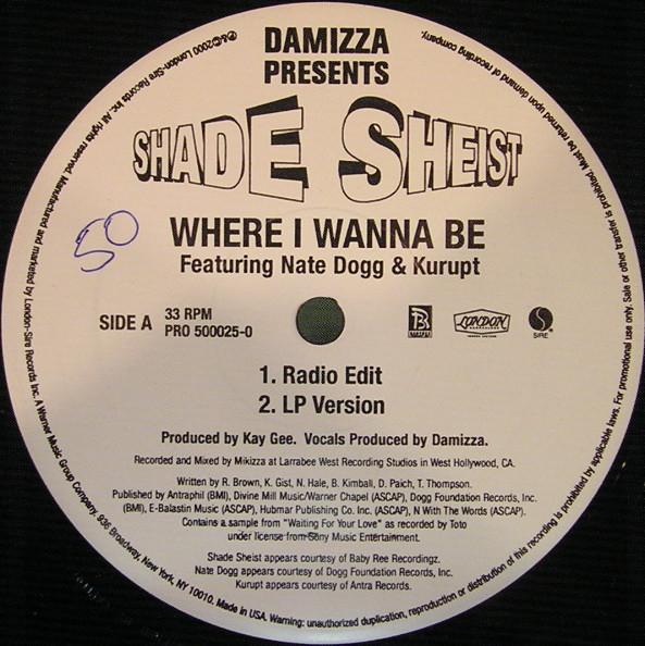 The Lick (Disc 1) - Shade Sheist