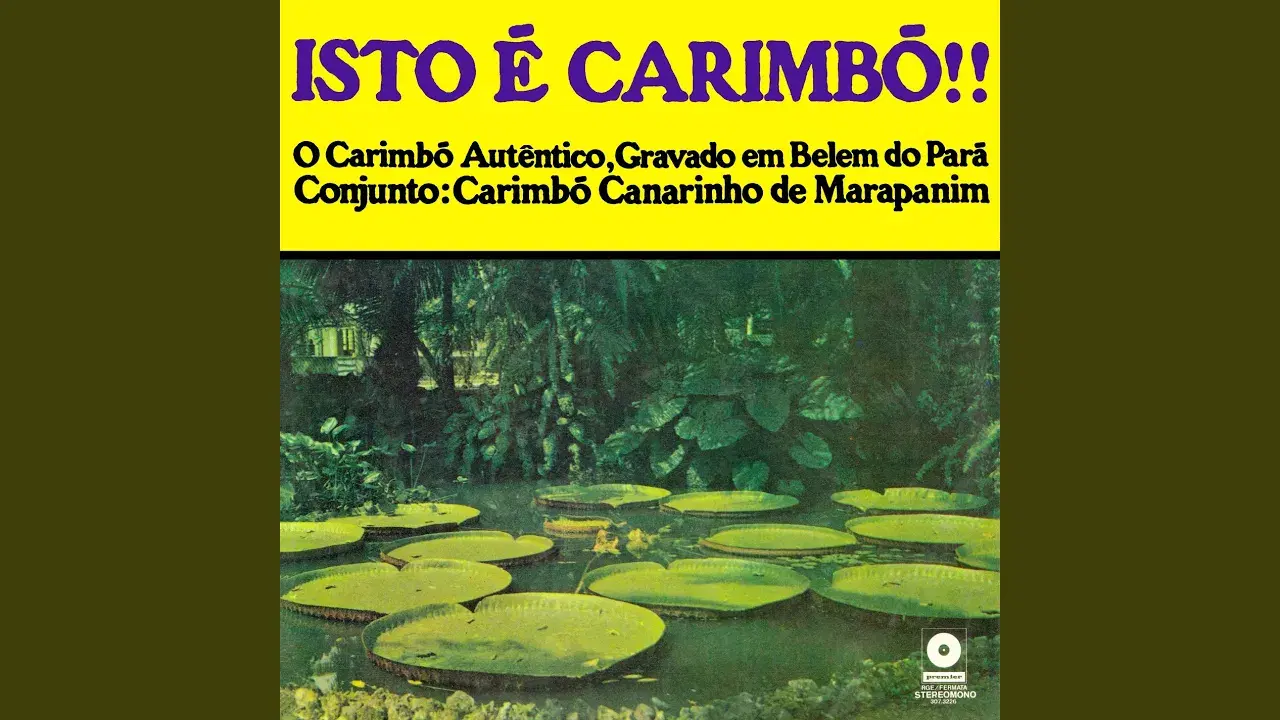  - Canarinho de Marapanim