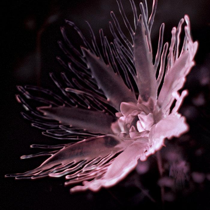 Listless - Dania