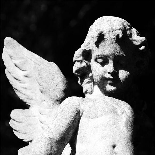 Passion Depression - Cold Cave