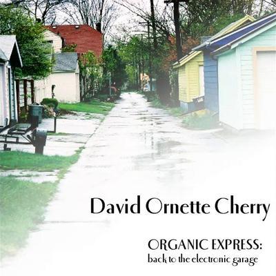 Organic Express: Back to the Electronic Garage - David Ornette Cherry