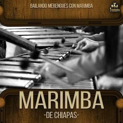 s/t - Marimba Los Mecateros