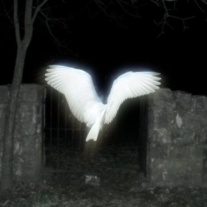 Life In Heaven - 7777 の天使
