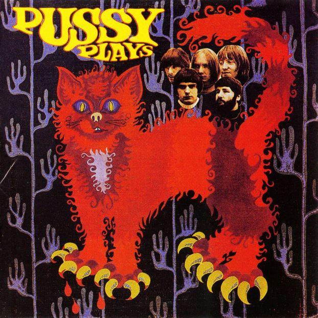 Pussy Plays - Pussy
