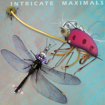 Intricate Maximals - Cedar Av