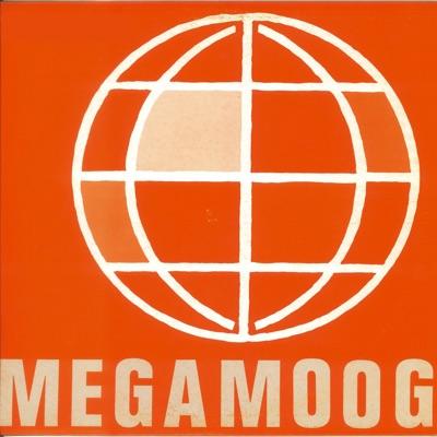Megamoog - Felice Fugazza