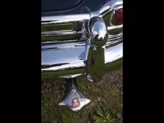 Wow-Wow Baby - The Searchers