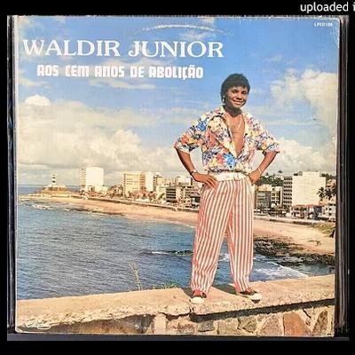  - Waldir Junior