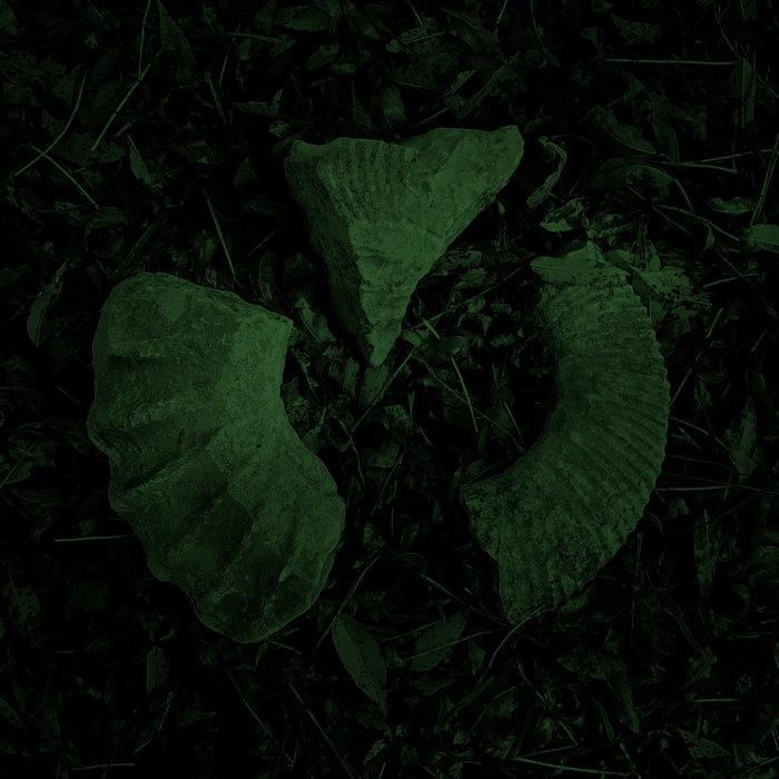 Aura Fossil - HVL