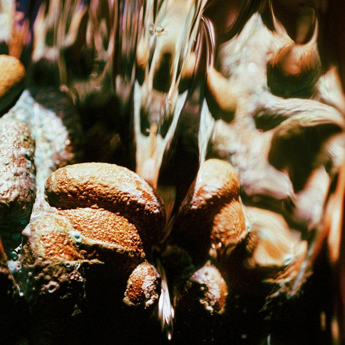 reveries - doris dana