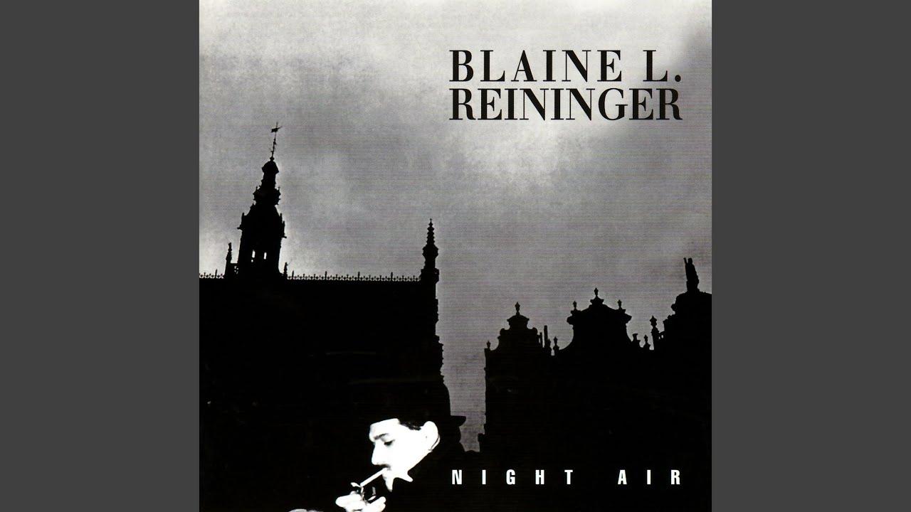 Night Air - Blaine Reininger