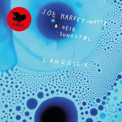 Langeleik - Joe Harvey-Whyte & Geir Sundstøl