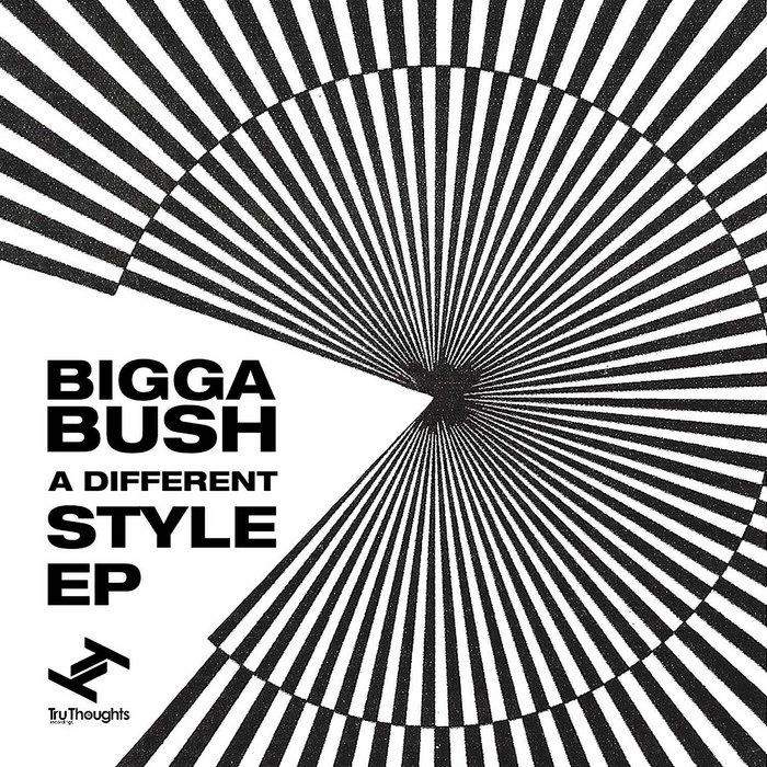 A Different Style - biggabush
