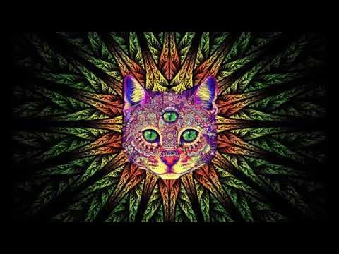 Pildoras II - Ravetop