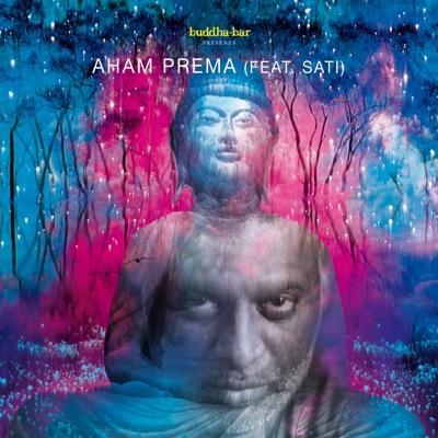 Buddha Bar Presents Digital Karma - Ravin, Sati