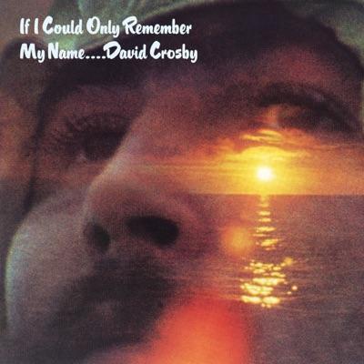 If I Could Only Remember My Name - David Crosby