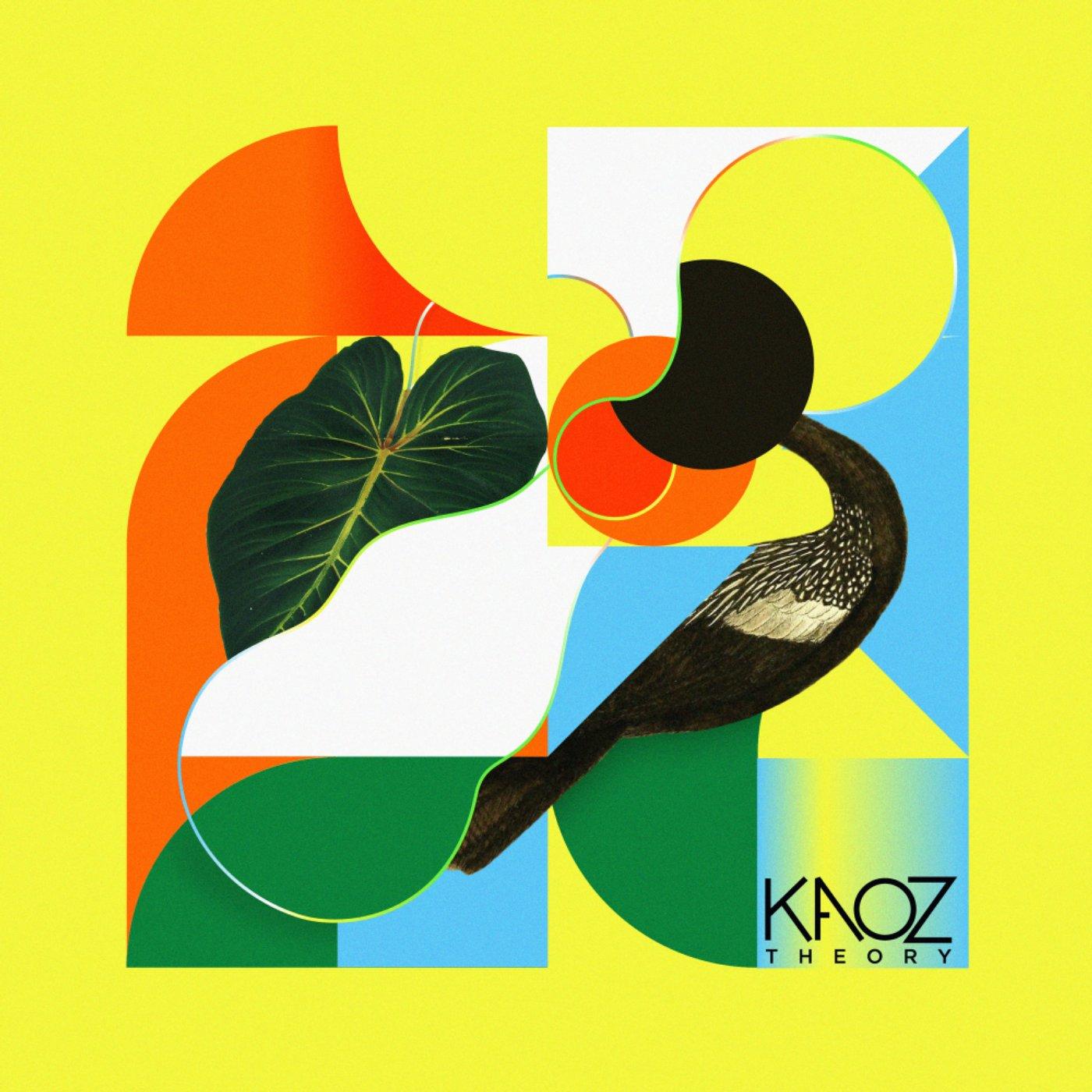 Organized Kaoz EP 3 - Bluey Robinson, Demuir