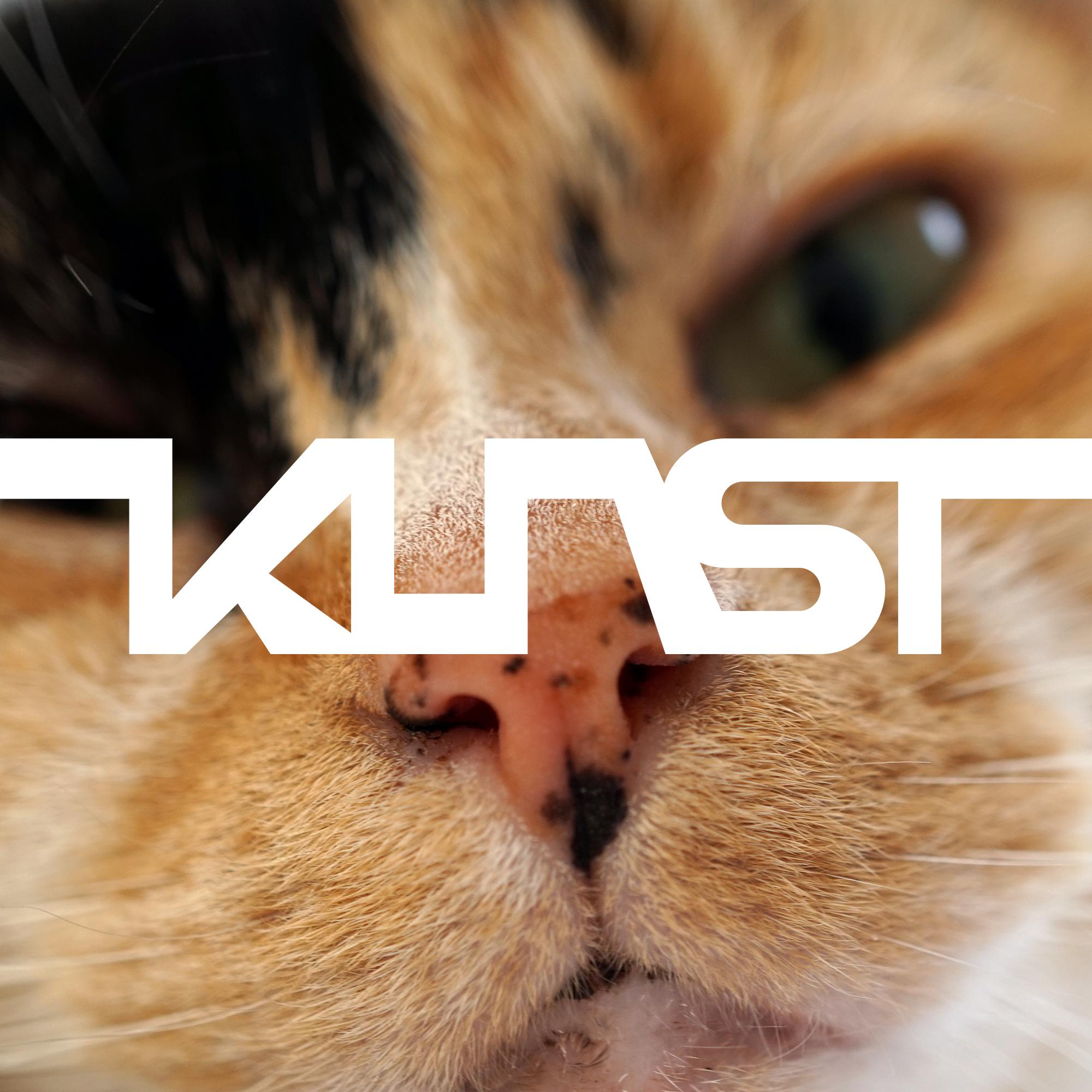 Kunst  - Kunst