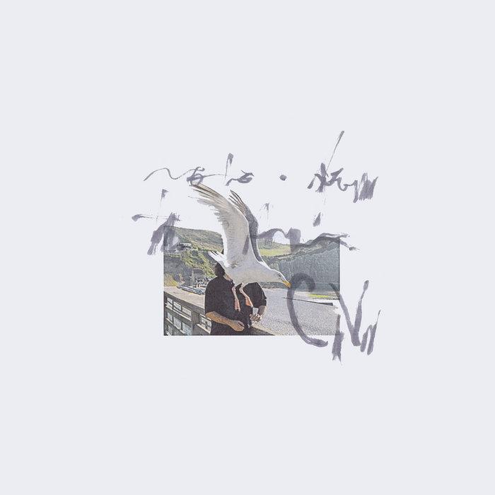 Notes From The Air - Ciro Vitiello