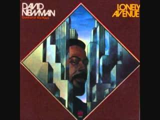 Lonely Avenue - David Newman