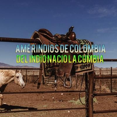  - Amerindios de Colombia