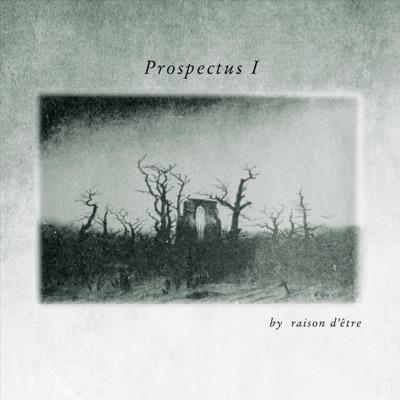Prospectus I (Redux Version) - raison d'être