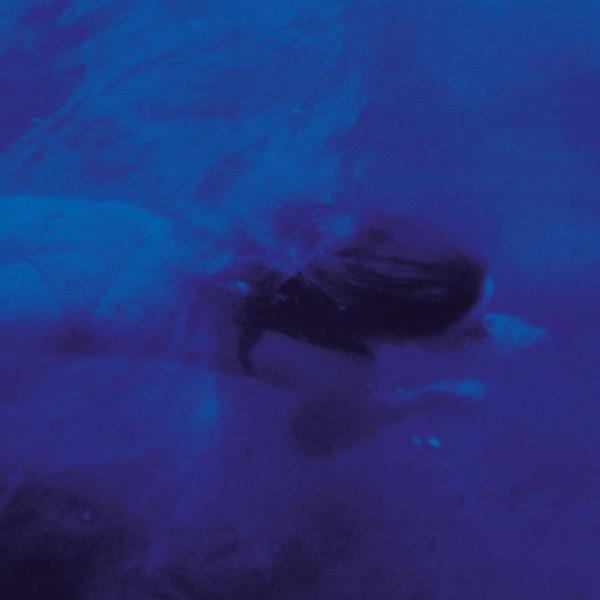 Blues - Pejzaz