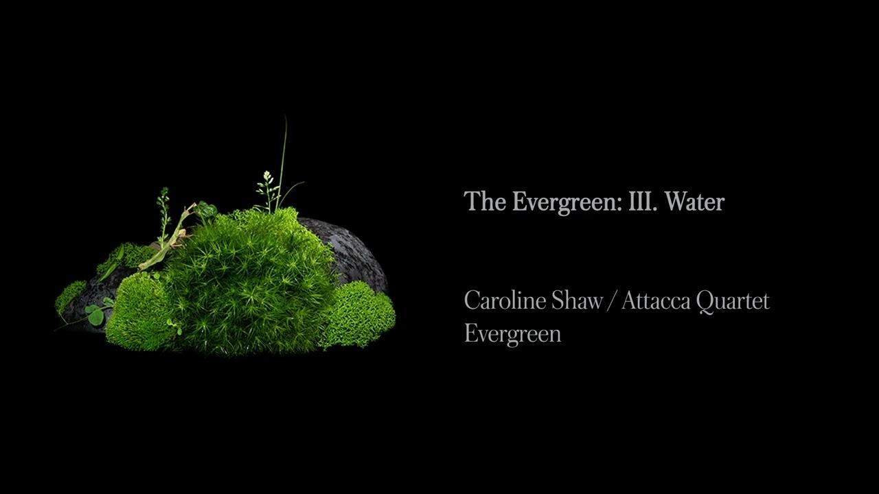  - Caroline Shaw Attacca Quartet