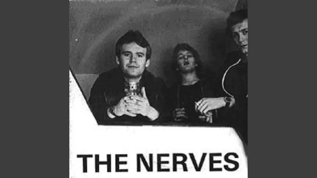  - Nerves