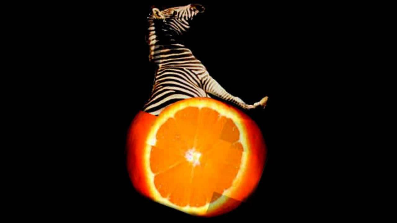 Bedroom Research Vol.3 - Orange Zebre
