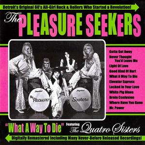 What a Way to Die - The Pleasure Seekers