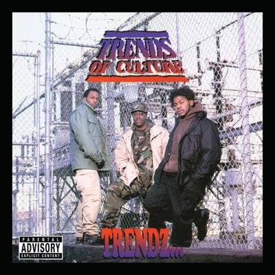 Trendz... - Trends of Culture