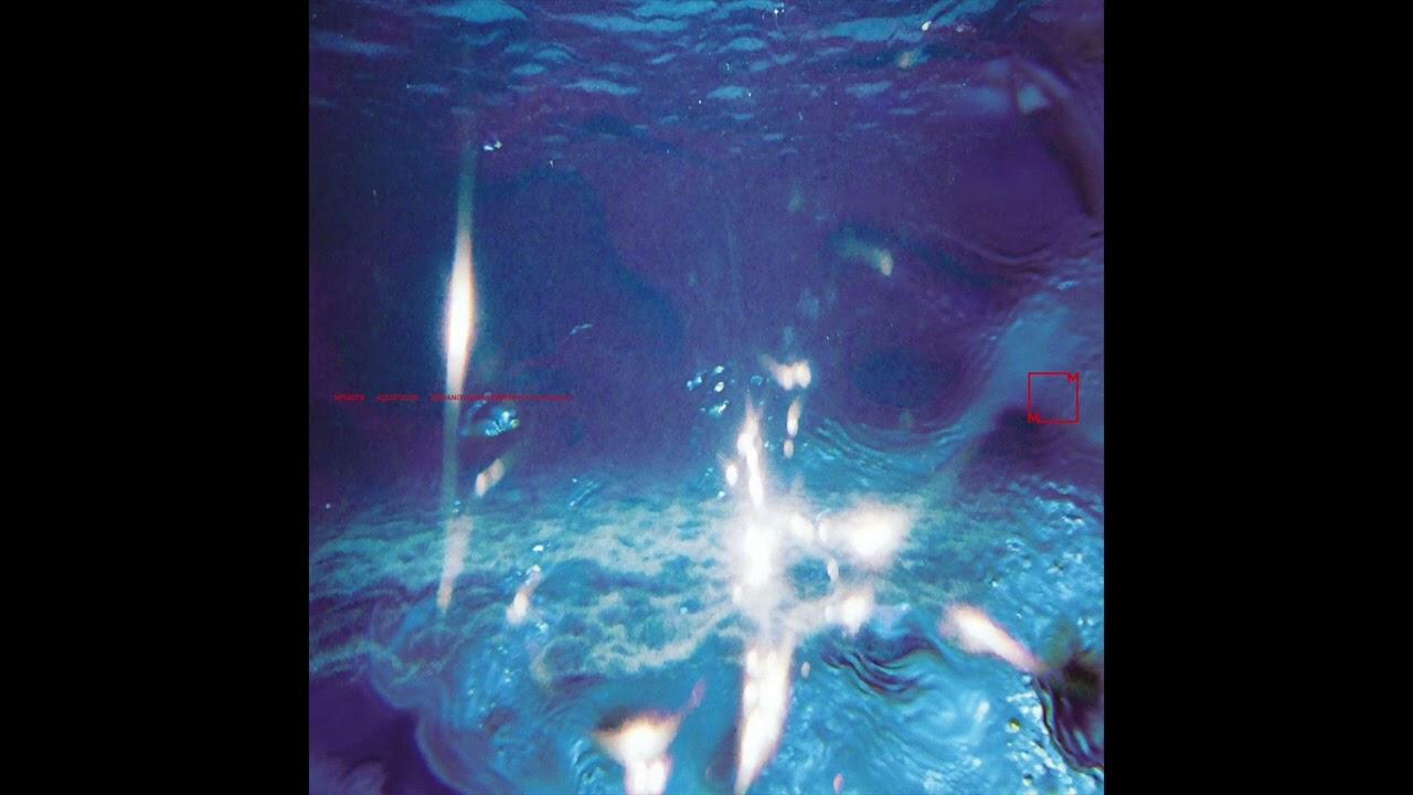 Aquaticos - Fabiano do Nascimento/E Ruscha V