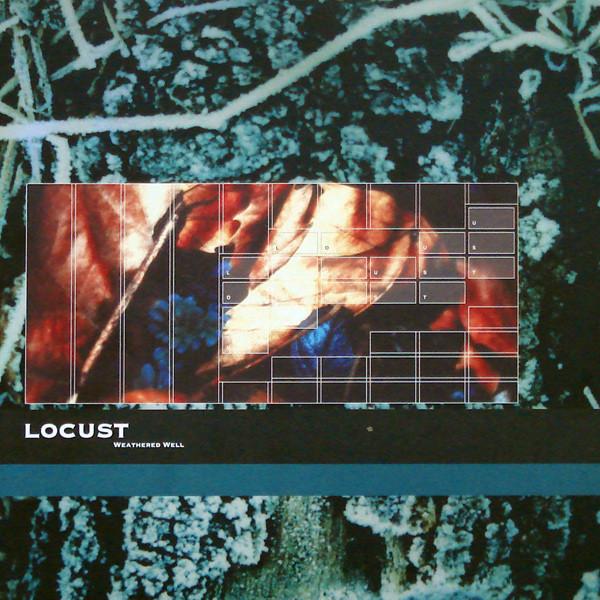 Weathered Well - Locust