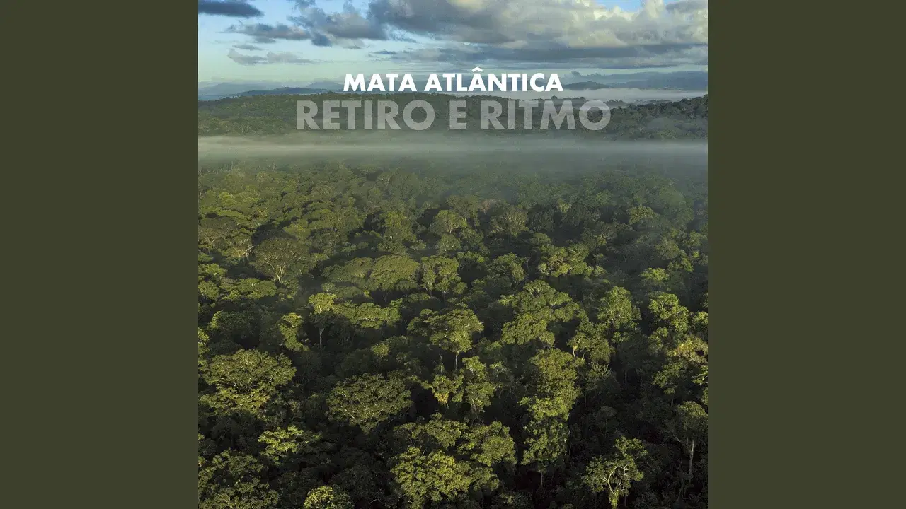Retiro e Ritmo - Mata Atlântica， Markus Reuter