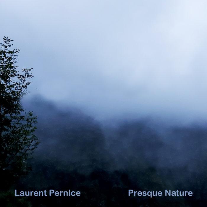 Presque Nature - Musiques Immobiles 26-31 - Laurent Pernice